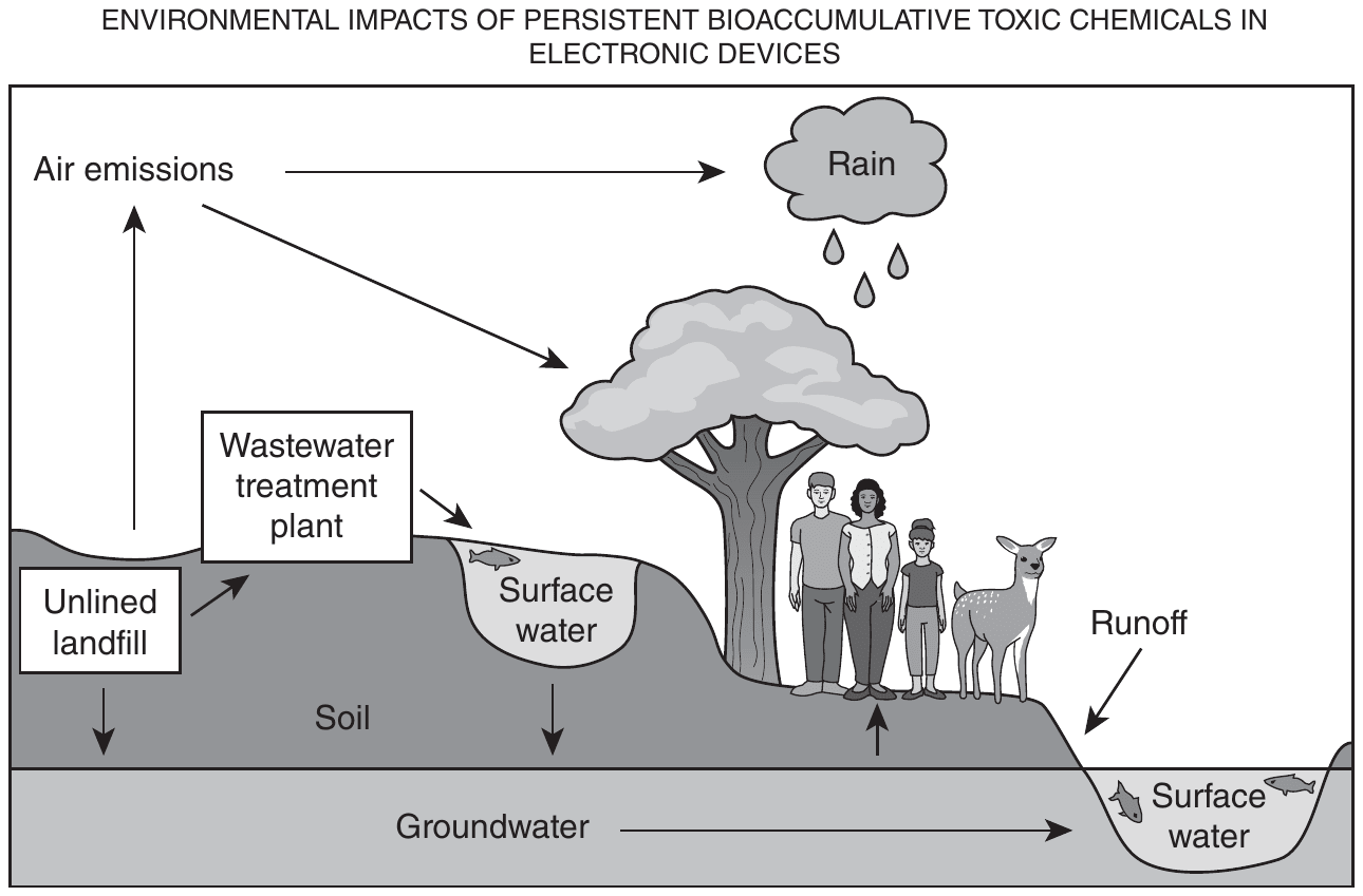 Diagram titled “ENVIRONMENTAL IMPACTS OF PERSISTENT BIOACCUMULATIVE TOXIC CHEMICALS IN ELECTRONIC DEVICES,” a cross-section of land with a layer labeled Soil over a layer labeled Groundwater. On the left, an arrow rises from an Unlined landfill to Air emissions, another leads from the landfill to a Wastewater treatment plant, which has an arrow into a pond of Surface water with a fish, and arrows point down from the landfill and from the pond through the soil to the groundwater; Air emissions has one arrow pointing right to a cloud labeled Rain, with raindrops falling, and another pointing down to a tree, beside which stand three people and a deer, with an arrow pointing up from the groundwater toward them. On the right, an arrow labeled Runoff points down the slope to a second pond of Surface water with fish, and an arrow running along the Groundwater layer also points right into that pond.