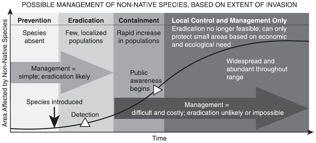 Chart titled “Possible Management of Non-Native Species, Based on Extent of Invasion,” plotting Area Affected by Non-Native Species (vertical axis) against Time (horizontal axis) as an S-shaped curve that stays low, then rises steeply and levels off high, where it is labeled “Widespread and abundant throughout range.” The time line is divided into four shaded stages, left to right: Prevention, “Species absent”; Eradication, “Few, localized populations”; Containment, “Rapid increase in populations”; and Local Control and Management Only, “Eradication no longer feasible; can only protect small areas based on economic and ecological need.” Markers on the curve show “Species introduced” at the end of Prevention, “Detection” within Eradication and “Public awareness begins” near the end of Containment, and two large arrows read “Management = simple; eradication likely” across Prevention and Eradication and “Management = difficult and costly; eradication unlikely or impossible” across Containment and Local Control and Management Only.