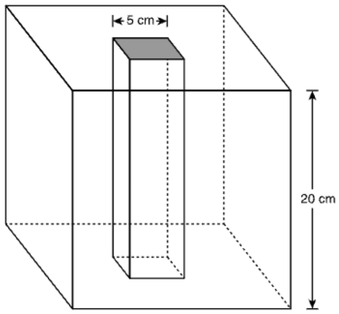 A cube labeled 20 cm along its front right edge. A tall rectangular prism-shaped hole runs from the top face of the cube down to the bottom face, the full height of the cube; its square opening on the top face is shaded gray and labeled 5 cm across. Hidden edges of the cube and the hole are dashed.