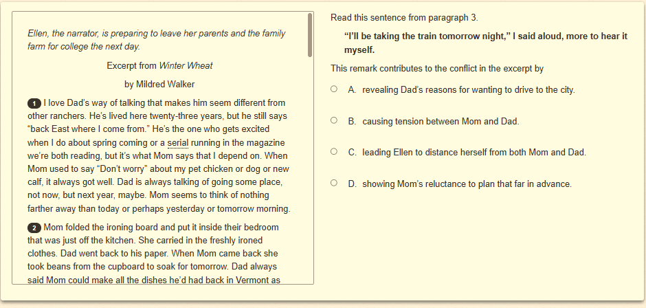 Question 18 as shown on the screen of the DOE’s digital test.