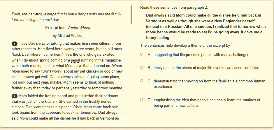Question 17 as shown on the screen of the DOE’s digital test.