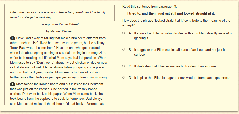 Question 19 as shown on the screen of the DOE’s digital test.