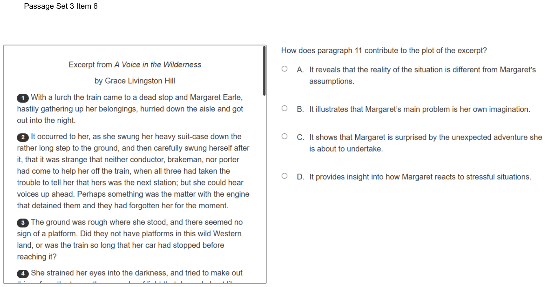 Question 19 as shown on the DOE’s digital test, page 27 of its printable version.