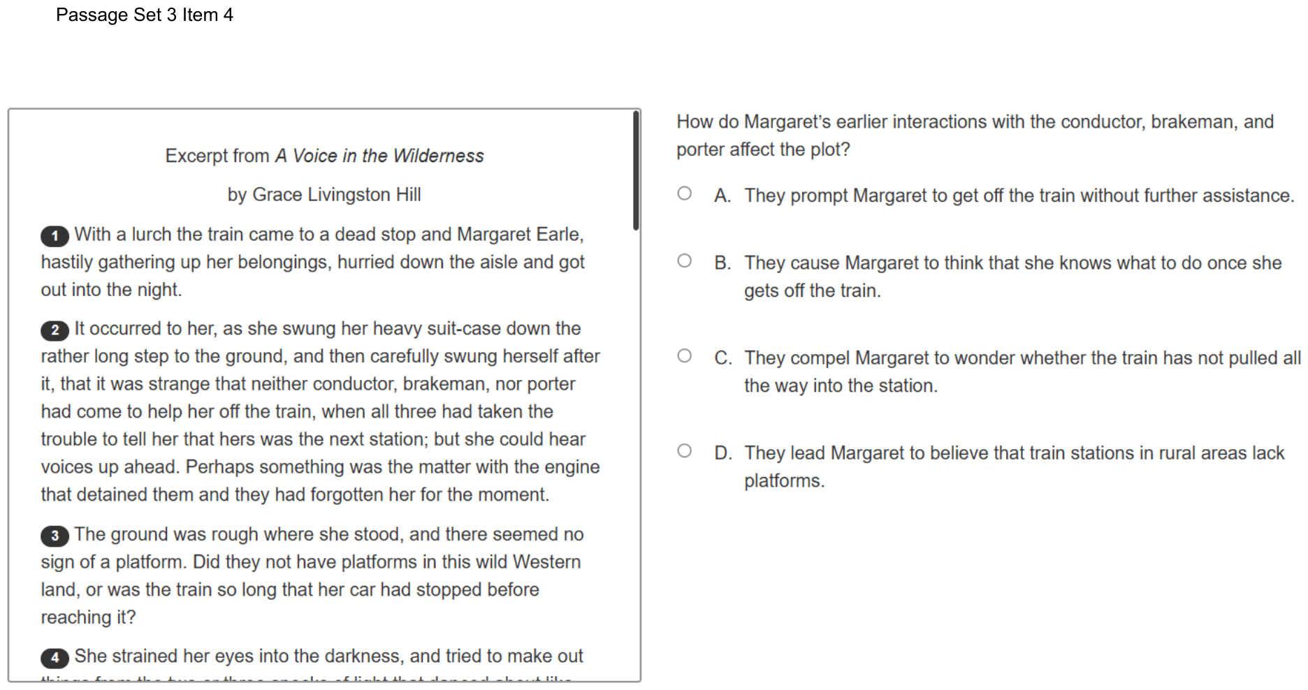 Question 17 as shown on the DOE’s digital test, page 25 of its printable version.