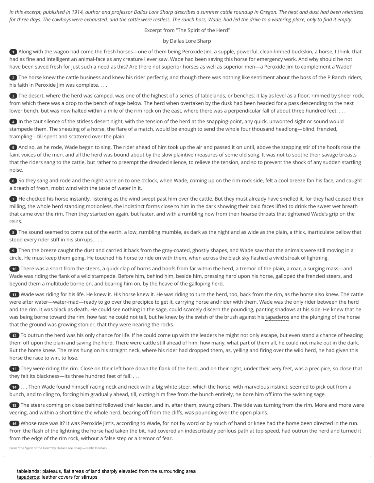 The passage “Excerpt from “The Spirit of the Herd”” as printed on page 41 of the DOE handbook.