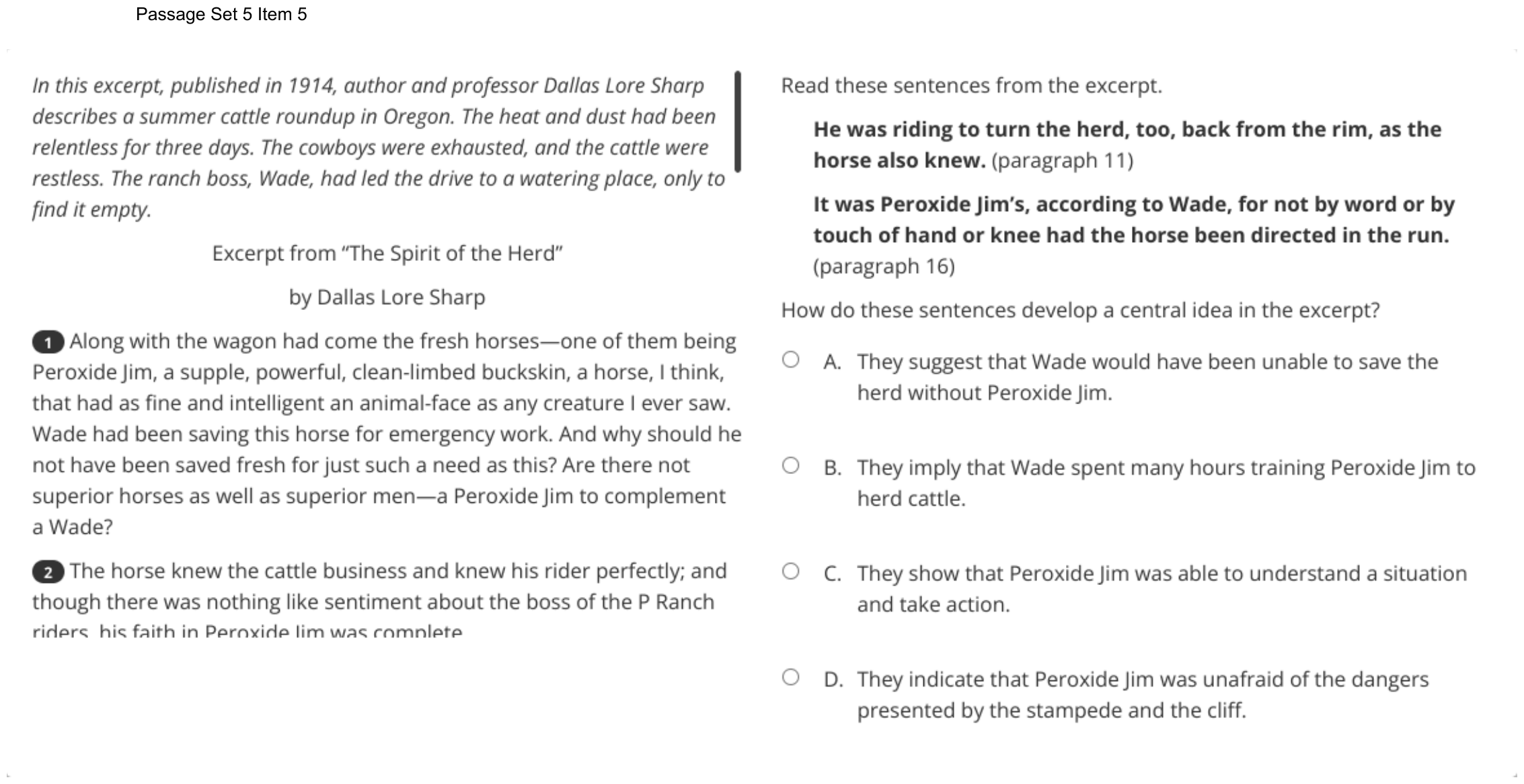 Question 33 as shown on the DOE’s digital test, page 46 of its printable version.